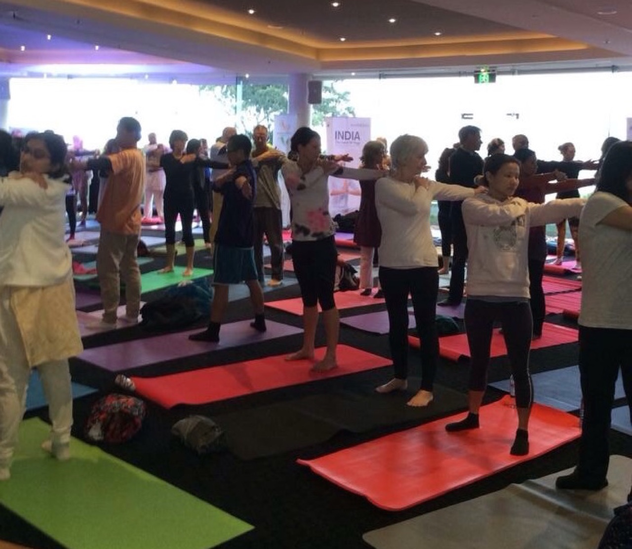 VijayBadhwar - Yoga 2