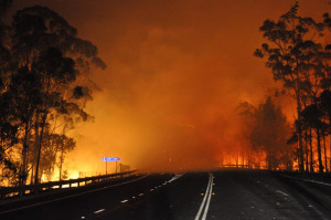 In this photo provided by the New South Wales Rural Fire Service a wildfire near Deans Gap, Australia, crosses the Princes Highway Tuesday, Jan. 8, 2013. Firefighters are battling scores of wildfires in southeastern Australia as authorities evacuate national parks and warned that hot, dry and windy conditions were combining to raise the threat to its highest alert level. (AP Photo/NSW Rural Fire Service, James Morris)